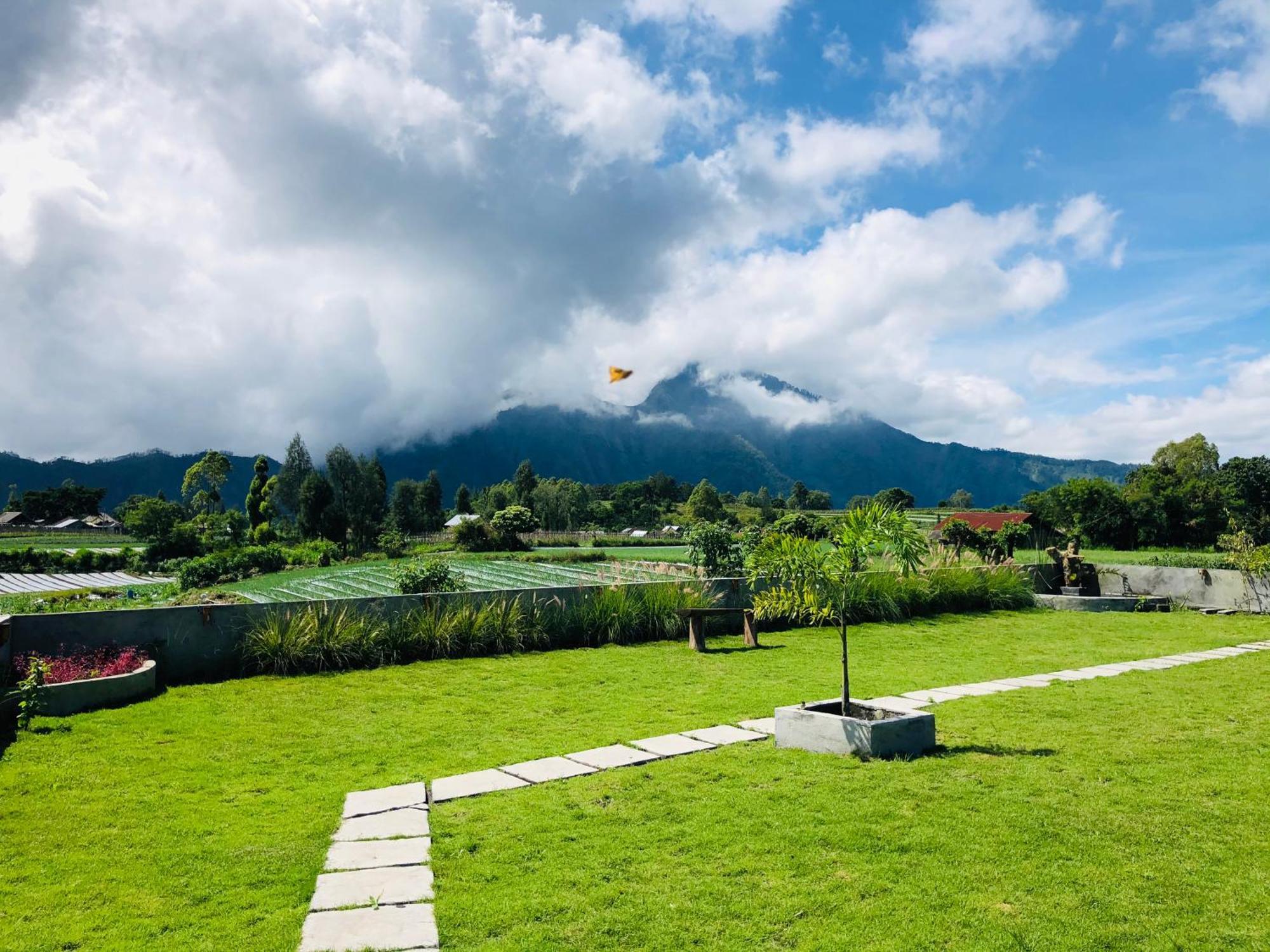 Kintamani Bukit Catu Bungalows חדר תמונה